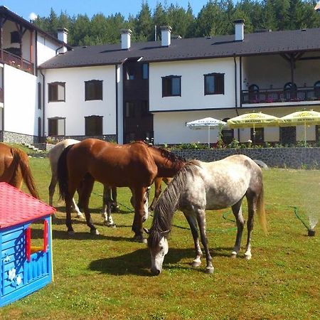 Rusaliite Adventure House Bachevo  Dış mekan fotoğraf
