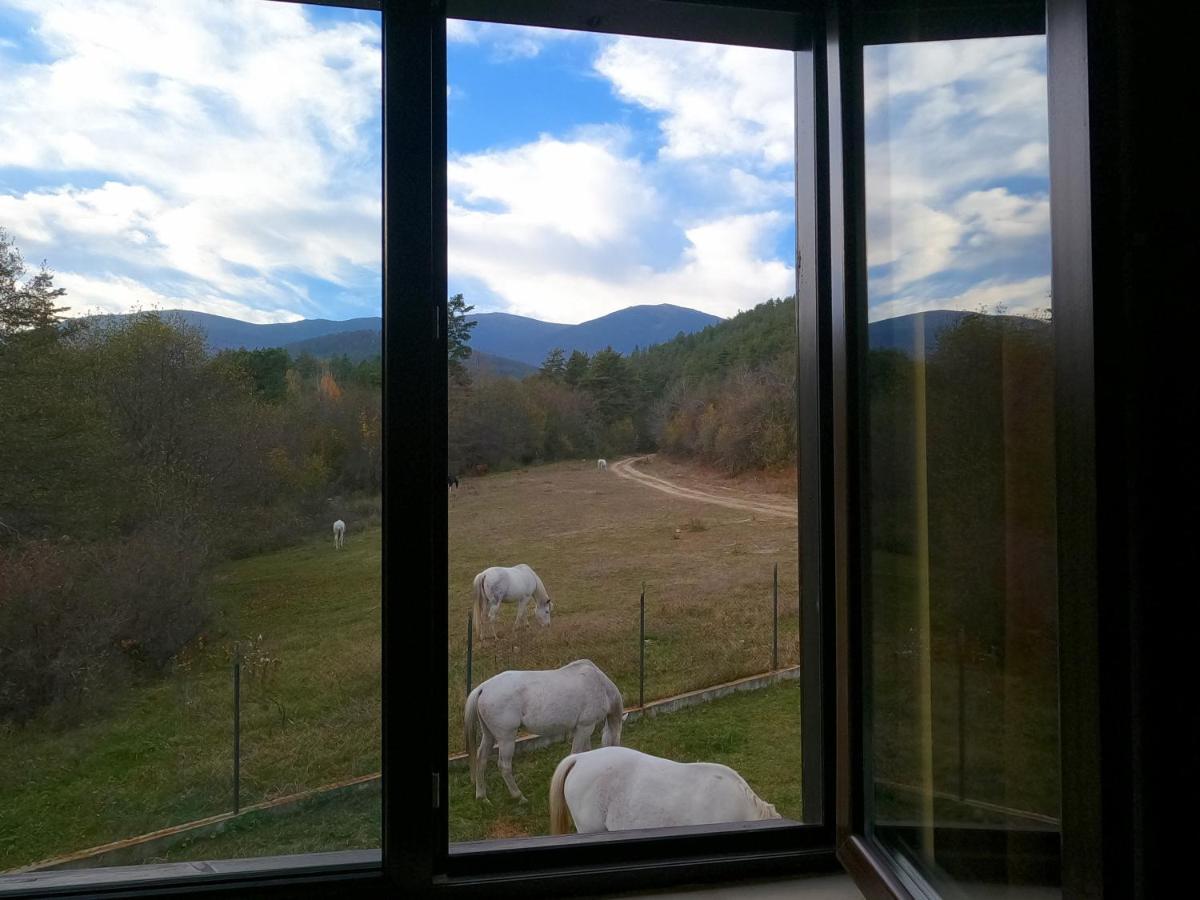 Rusaliite Adventure House Bachevo  Dış mekan fotoğraf