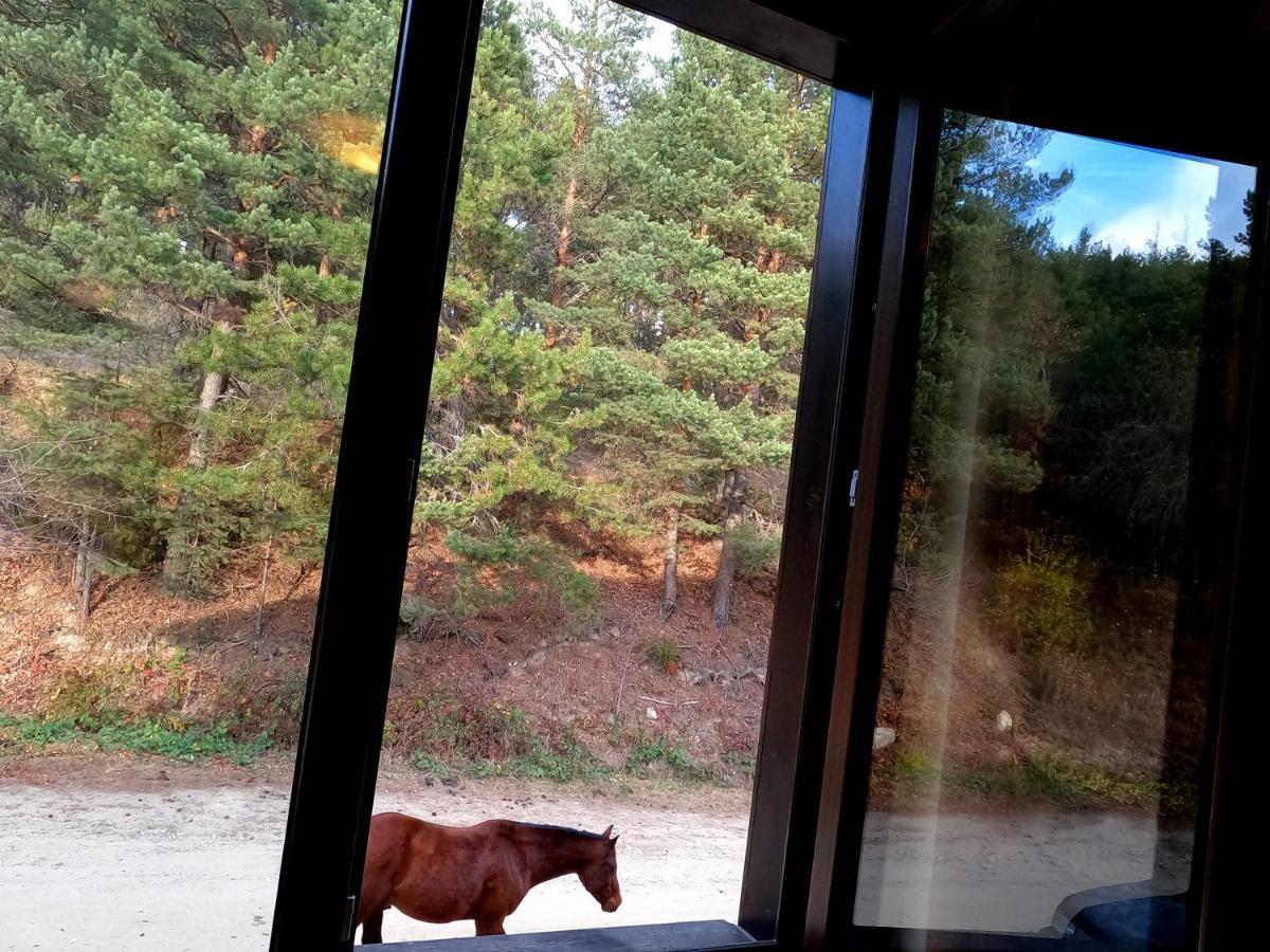 Rusaliite Adventure House Bachevo  Dış mekan fotoğraf