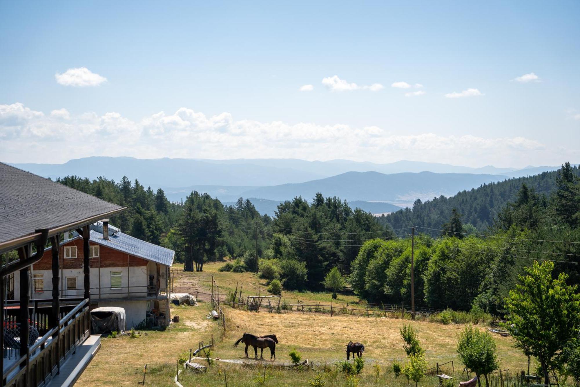 Rusaliite Adventure House Bachevo  Dış mekan fotoğraf