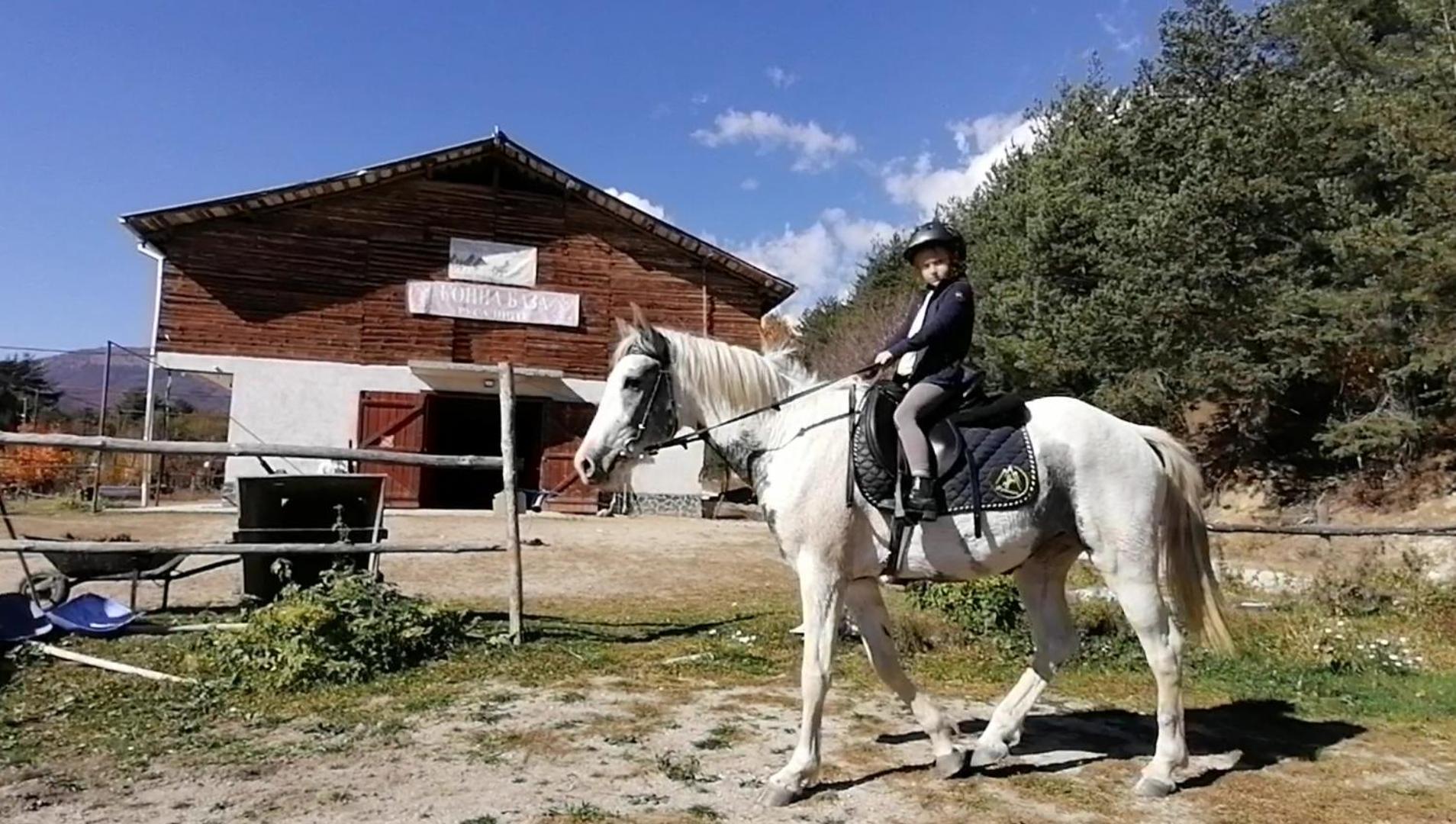 Rusaliite Adventure House Bachevo  Dış mekan fotoğraf
