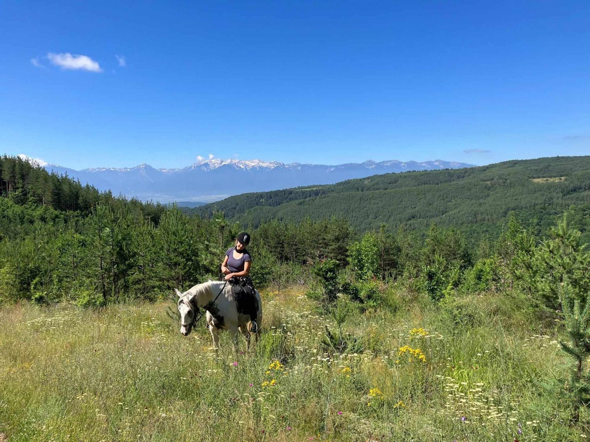 Rusaliite Adventure House Bachevo  Dış mekan fotoğraf