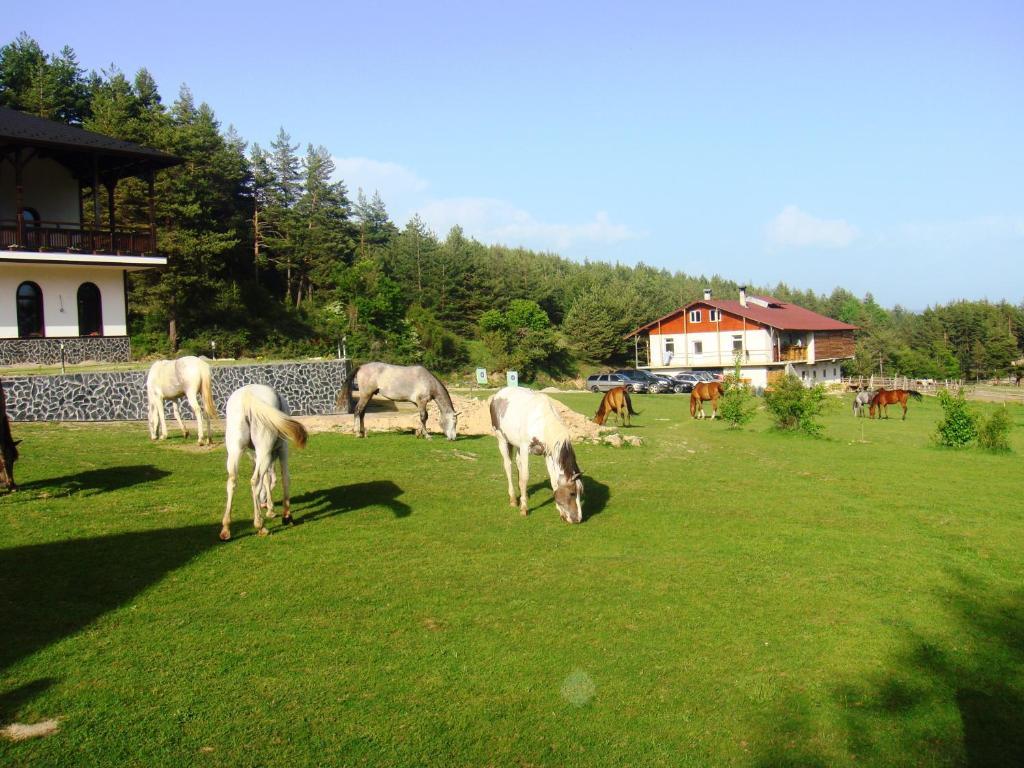 Rusaliite Adventure House Bachevo  Dış mekan fotoğraf