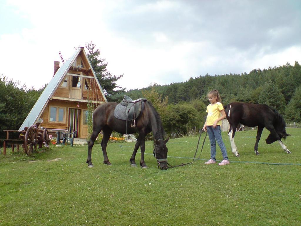 Rusaliite Adventure House Bachevo  Dış mekan fotoğraf