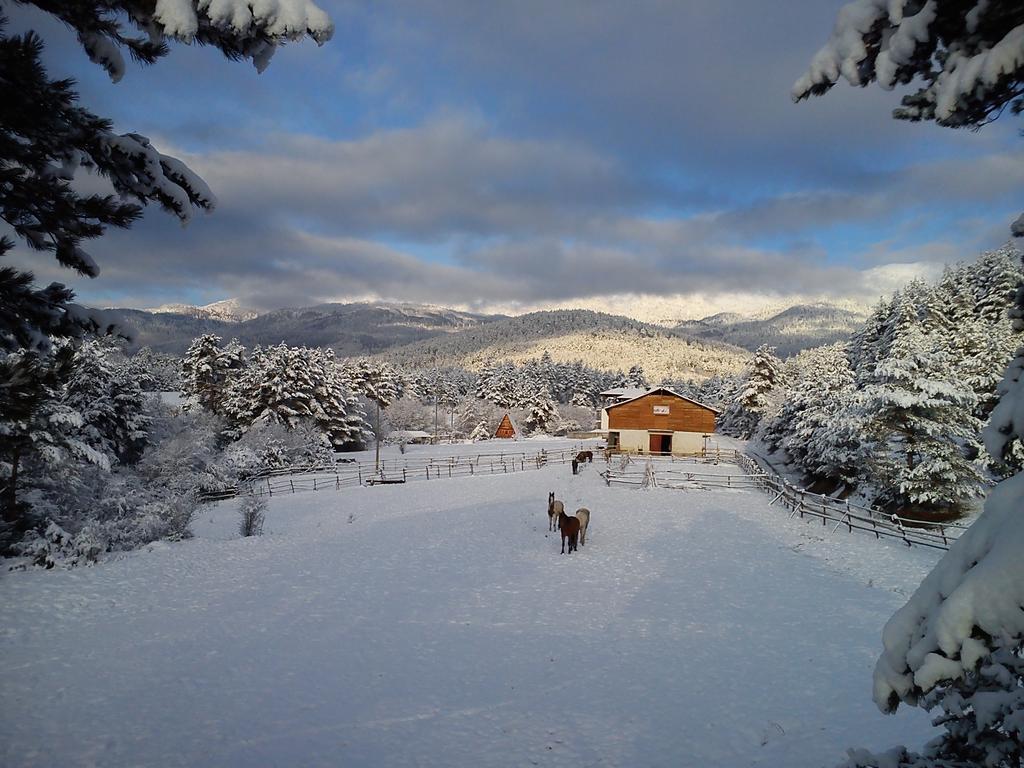 Rusaliite Adventure House Bachevo  Dış mekan fotoğraf