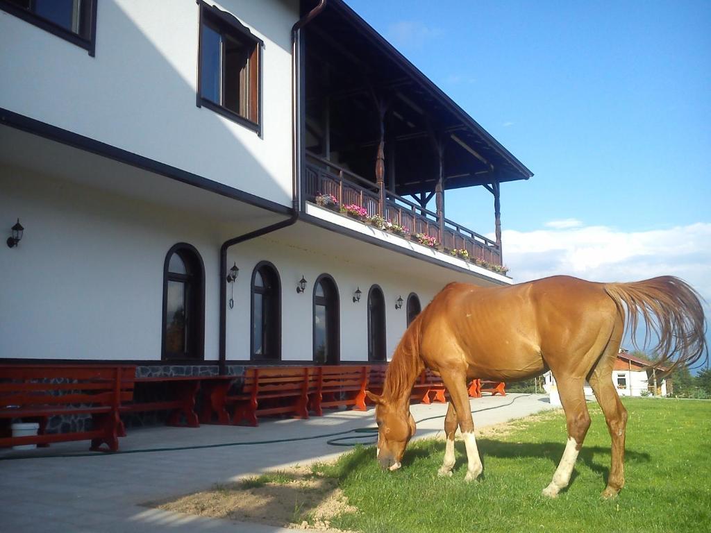 Rusaliite Adventure House Bachevo  Dış mekan fotoğraf